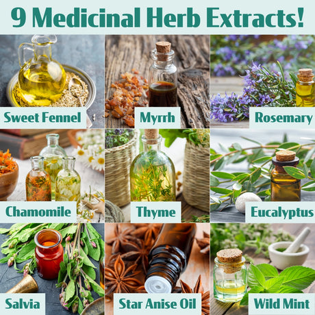 Collage of medicinal herb extracts with labels on a green background